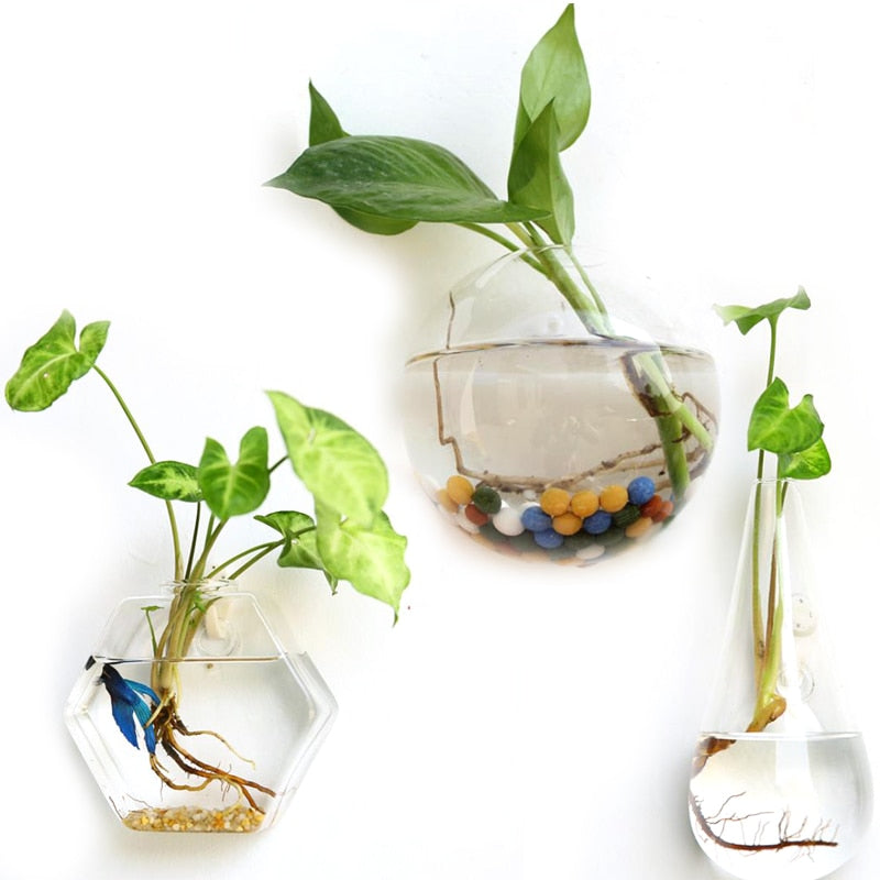 Hanging Glass Planter Terrarium– Silky decor