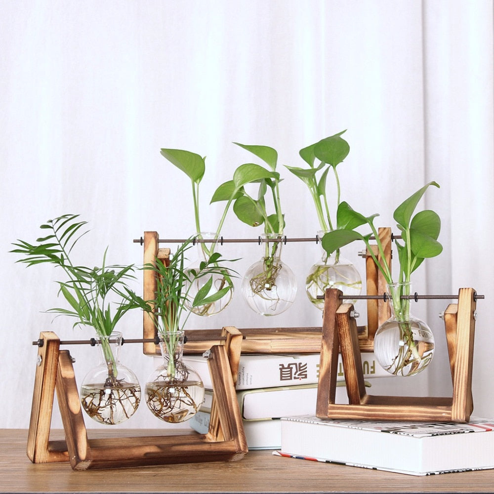 retro hydroponic plants Terra