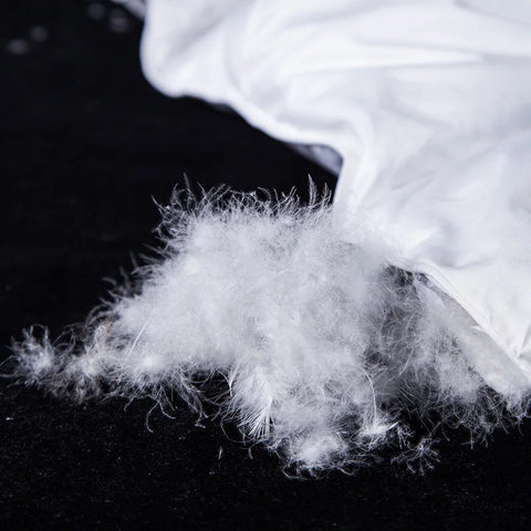 Premium Goose Down Comforter