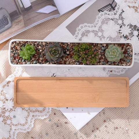 Charlotte - Classic Bonsai Planter Set - Silky decor
