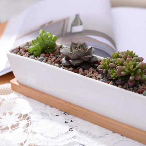 Charlotte - Classic Bonsai Planter Set - Silky decor