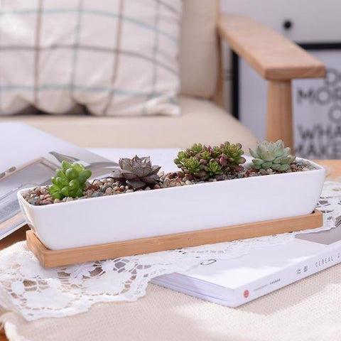 Charlotte - Classic Bonsai Planter Set - Silky decor