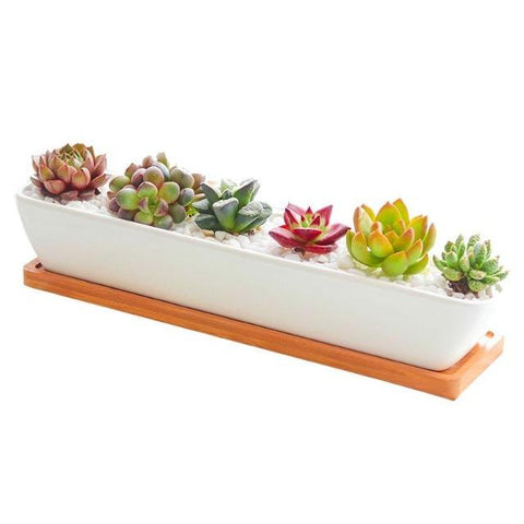Charlotte - Classic Bonsai Planter Set - Silky decor