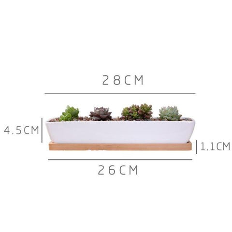 Charlotte - Classic Bonsai Planter Set - Silky decor
