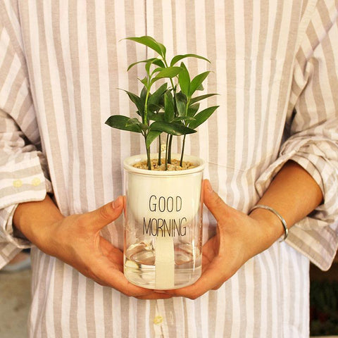 Automatic Watering Planter Pot - Silky decor