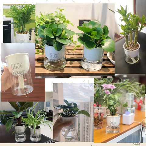 Automatic Watering Planter Pot - Silky decor