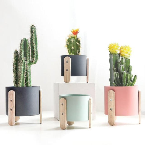 Cotia - Innovative Flower Pot Planter - Silky decor