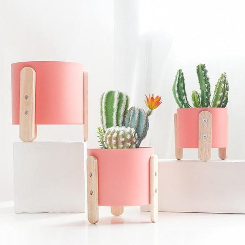 Cotia - Innovative Flower Pot Planter - Silky decor