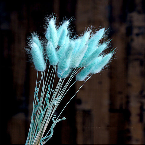Beautiful Dried Pampas Grass Boquet