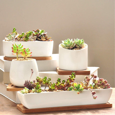 Charlotte - Classic Bonsai Planter Set