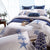 Lux Bed Embroidered Bedding Set