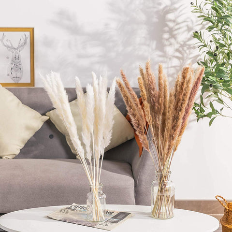 Beautiful Dried Pampas Grass Boquet