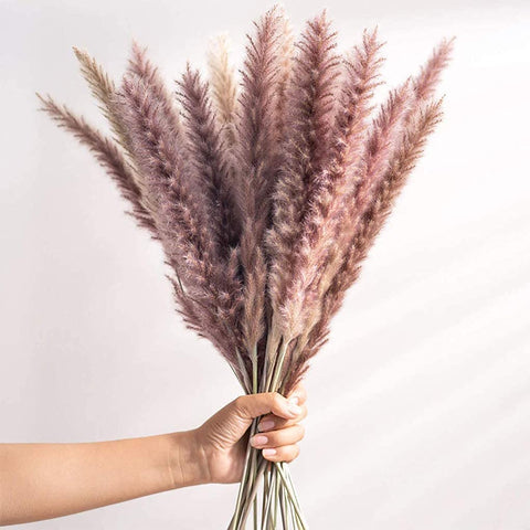 Beautiful Dried Pampas Grass Boquet