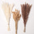 Beautiful Dried Pampas Grass Boquet