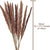 Beautiful Dried Pampas Grass Boquet