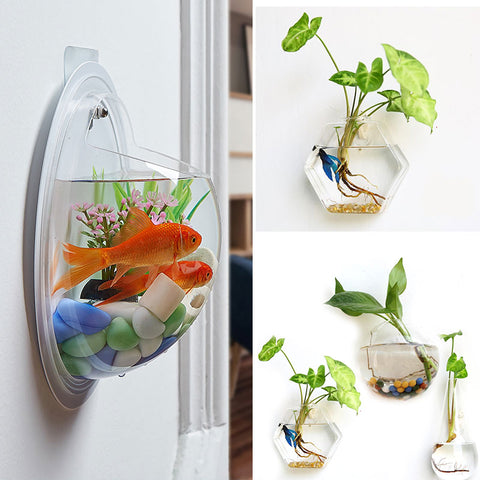 Hanging Glass Planter Terrarium