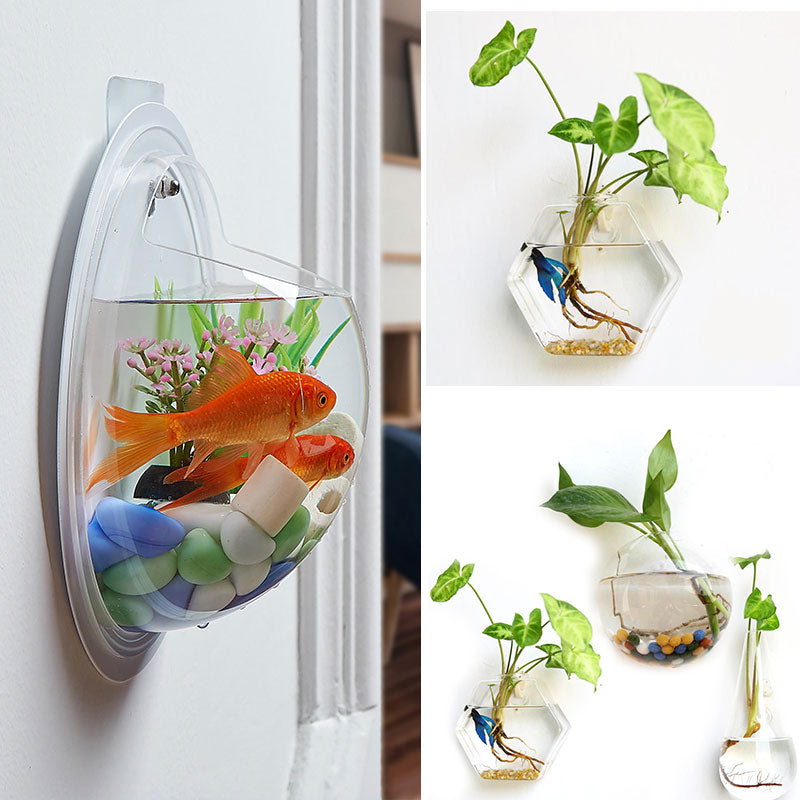 hanging plants in glass bowls Hanging Glass Planter Terrarium– Silky decor