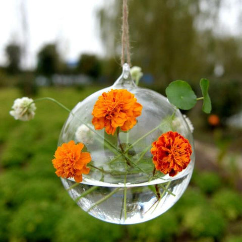 Grahaniya - Decorative Hanging Ball flower Vase - Silky decor