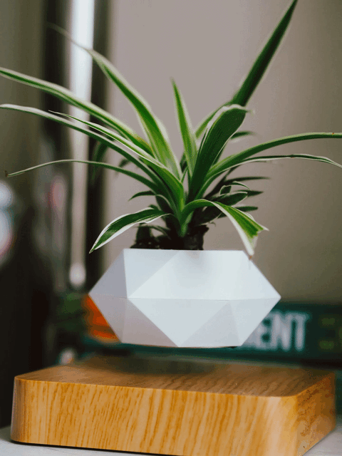 LEVITATING PLANT POT