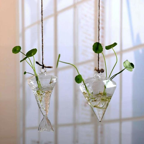 Jing - Hydroponic Hanging Flower Pot - Silky decor