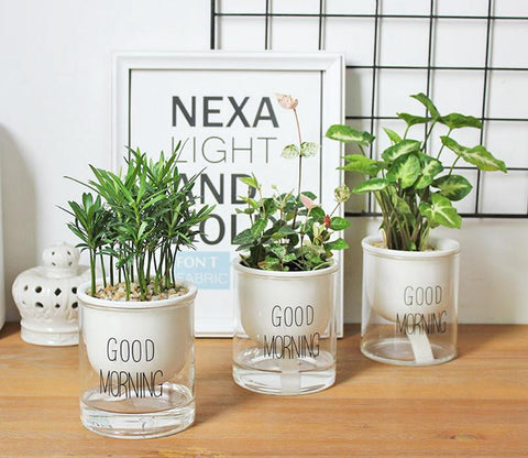 Automatic Watering Planter Pot - Silky decor