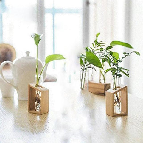 Clara - Hydroponic Crystal Glass Planter Set - Silky decor