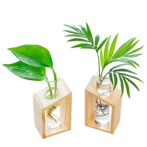 Clara - Hydroponic Crystal Glass Planter Set - Silky decor