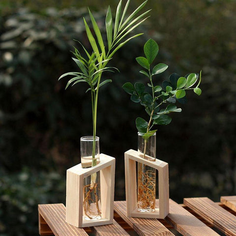 Clara - Hydroponic Crystal Glass Planter Set - Silky decor