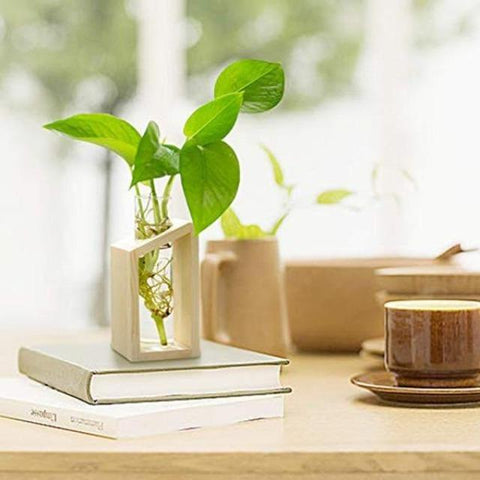 Clara - Hydroponic Crystal Glass Planter Set - Silky decor