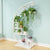 Elise - Decorative Crescent Plant Stand - Silky decor