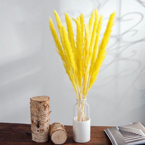 Beautiful Dried Pampas Grass Boquet