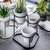 Elora - Modern 3 in 1 Pottery Planters