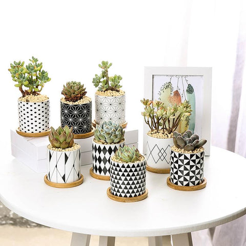 Aiva - Nordic Geometric Succulent Planter - Silky decor