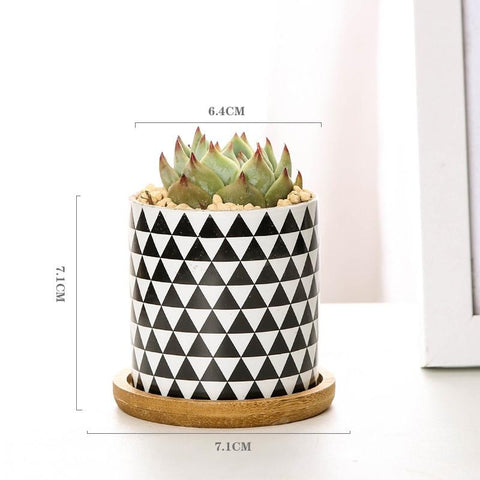 Aiva - Nordic Geometric Succulent Planter - Silky decor