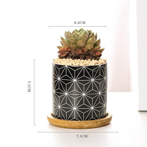Aiva - Nordic Geometric Succulent Planter - Silky decor