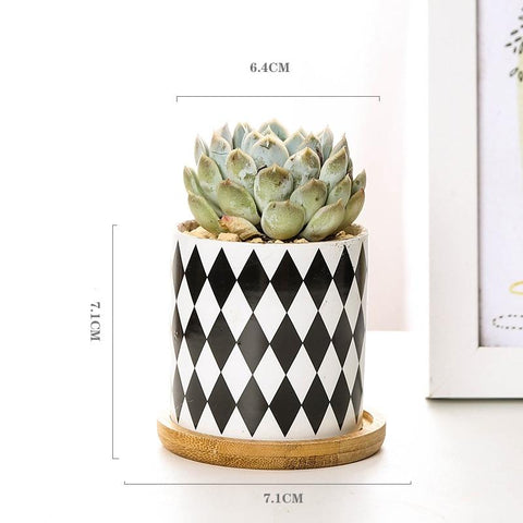 Aiva - Nordic Geometric Succulent Planter - Silky decor