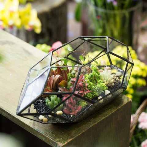 Ruth - Modern Glass Terrarium Container - Silky decor