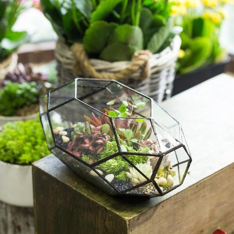 Ruth - Modern Glass Terrarium Container - Silky decor