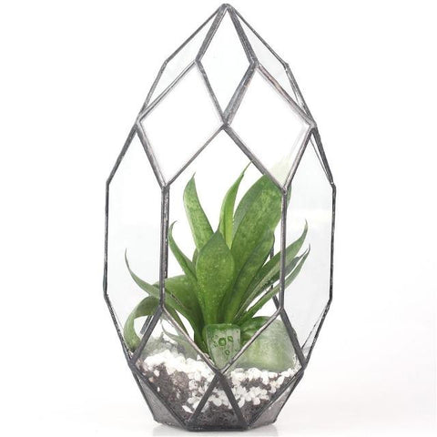 Ruth - Modern Glass Terrarium Container - Silky decor