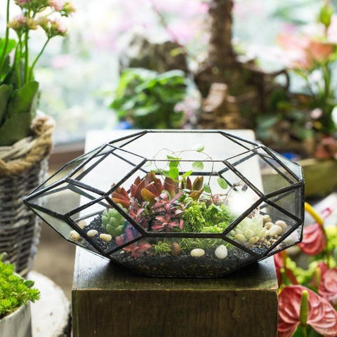 Ruth - Modern Glass Terrarium Container - Silky decor
