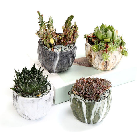 Deidra - Modern Bonsai Marbling Flower Pot (4 pcs) - Silky decor