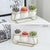 Daja - Modern White Ceramic Flower Pots - Silky decor