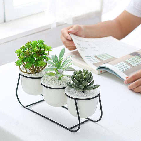 Daja - Modern White Ceramic Flower Pots - Silky decor