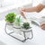 Daja - Modern White Ceramic Flower Pots - Silky decor