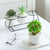 Daja - Modern White Ceramic Flower Pots - Silky decor