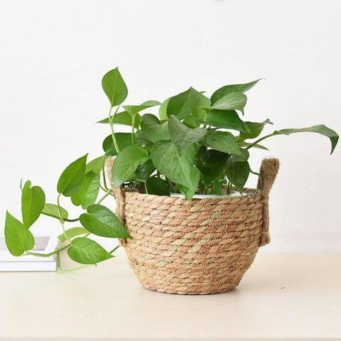 Regina - Nordic Art Decoration Flower Basket - Silky decor