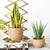 Regina - Nordic Art Decoration Flower Basket - Silky decor