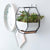 Elle - Nordic Ceramic Succulent Plant Pot - Silky decor