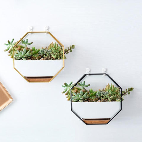 Elle - Nordic Ceramic Succulent Plant Pot - Silky decor