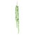 Green Decorative Succulent Plants
